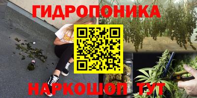 гидра Лесосибирск