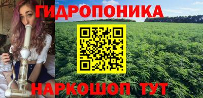 гидра Лесосибирск