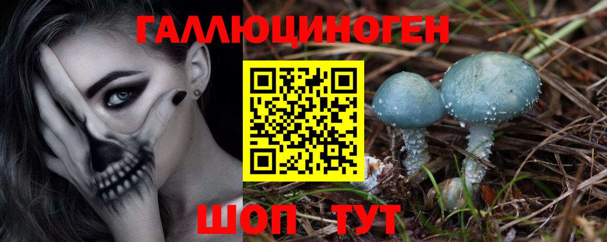 Грязи  Галлюциногенные грибы мицелий  Вход с VPN  купить наркотики цена  Галлюциногенные грибы Psilocybine cubensis 